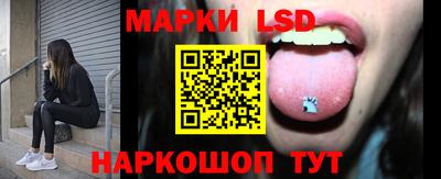 spice Обнинск