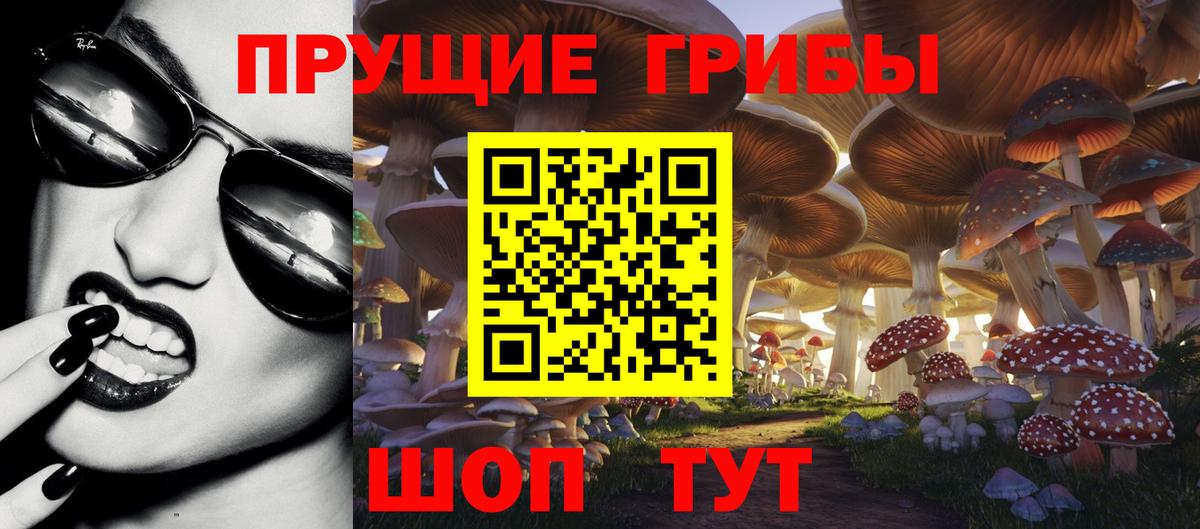 Галлюциногенные грибы Psilocybine cubensis Партизанск