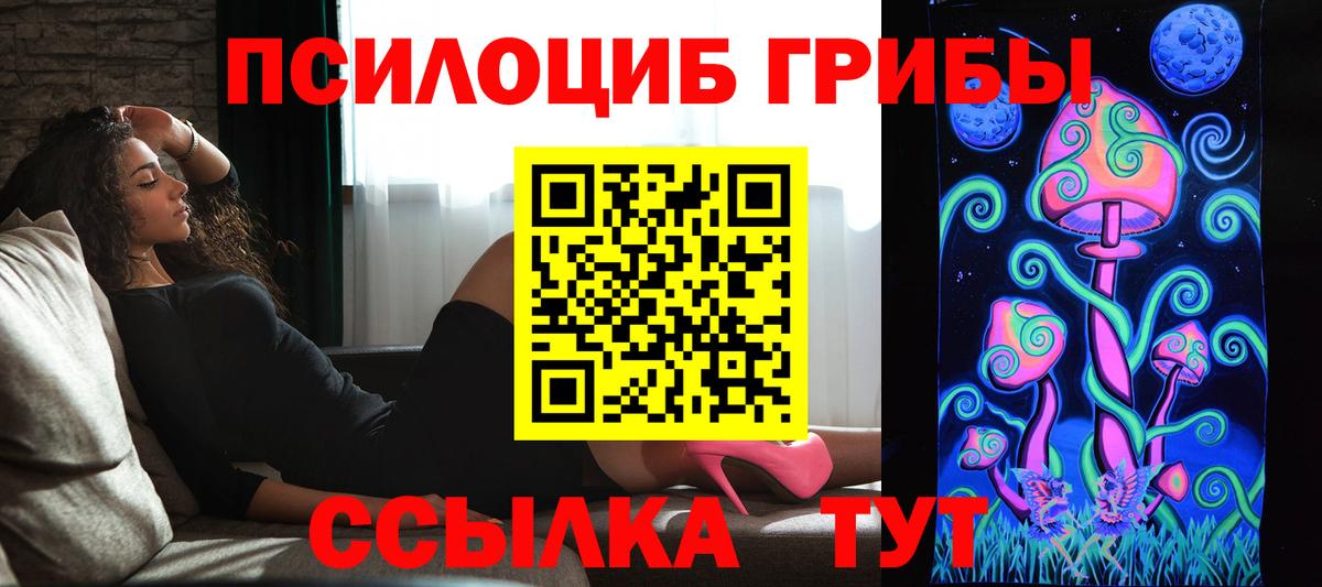 Партизанск  Галлюциногенные грибы мицелий  Вход с VPN 