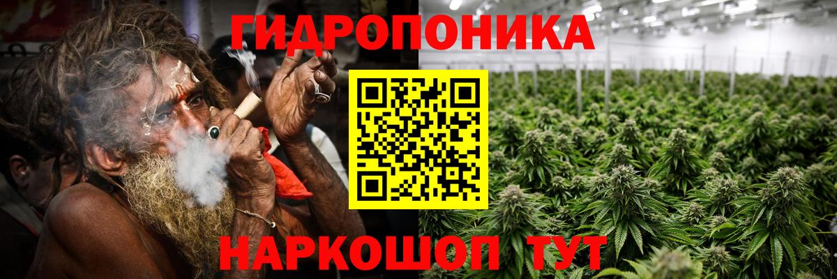 Бошки Шишки семена Партизанск